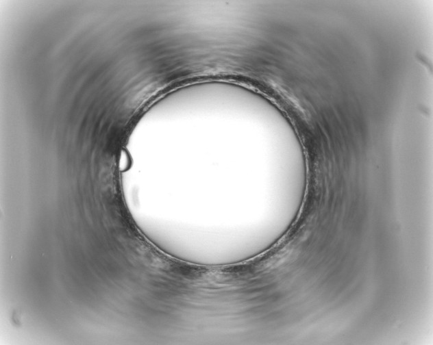 X0000093241265200710241248