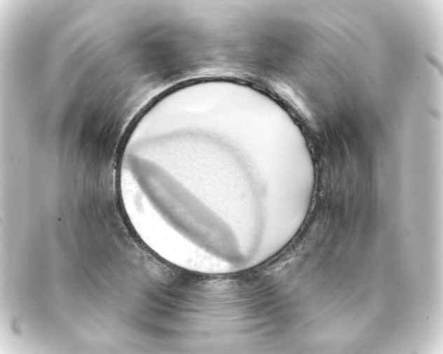 X0000093241268200710241248