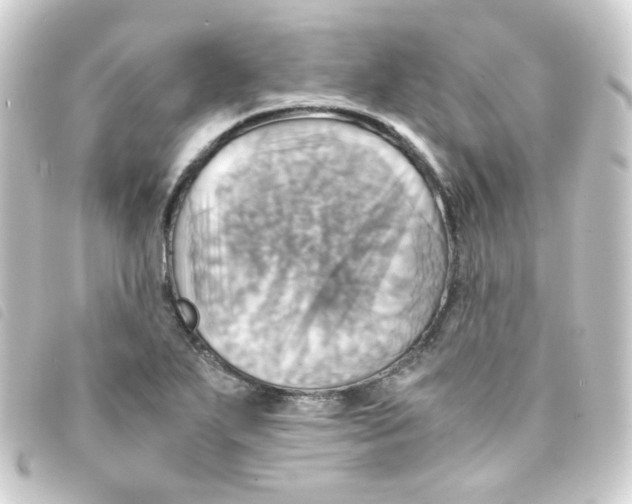 X0000093241271200710241248