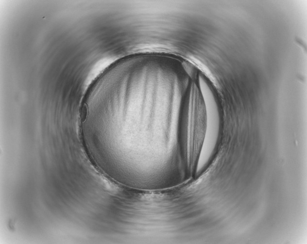 X0000093241277200710241248