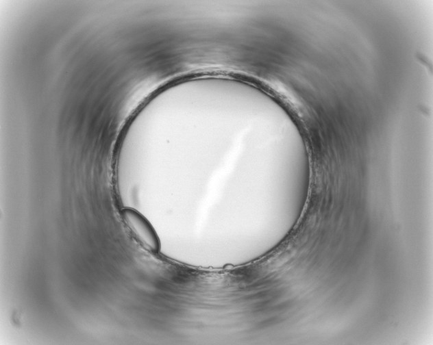 X0000093241279200710241248