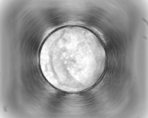 X0000093241280200710241248