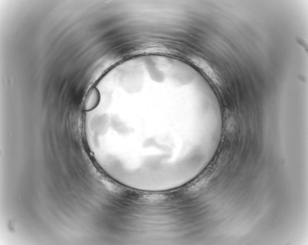 X0000093241282200710241248