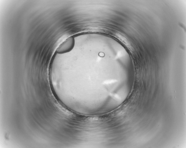 X0000093241283200710241248