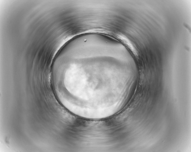 X0000093241284200710241248