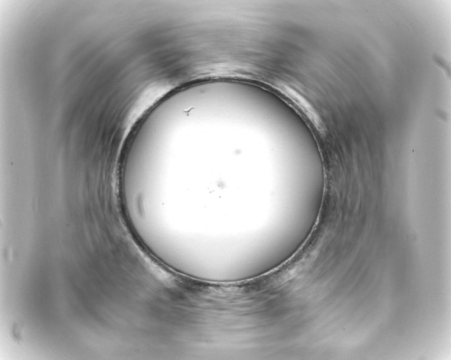 X0000093241285200710241248