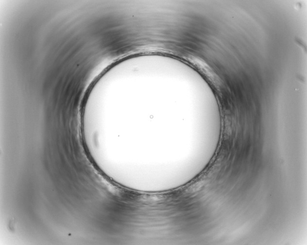 X0000093241286200710241248