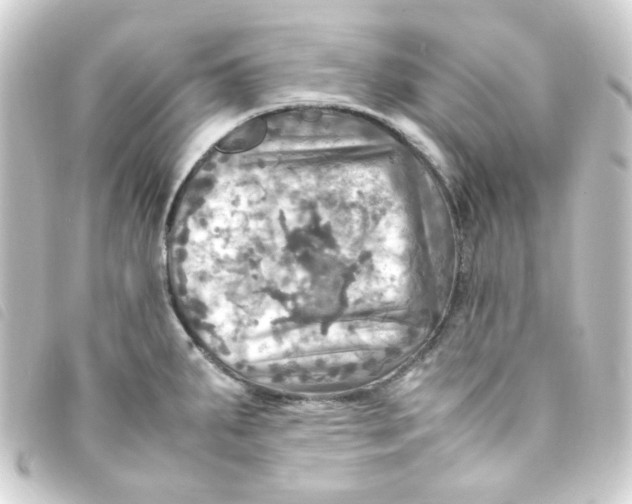 X0000093241287200710241248