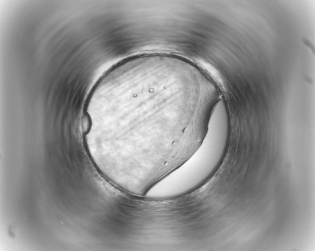 X0000093241288200710241248