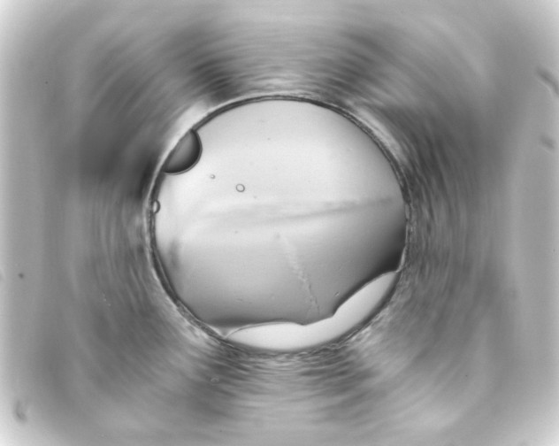 X0000093241291200710241248