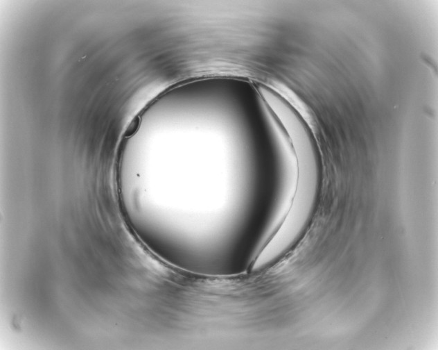 X0000093241293200710241248