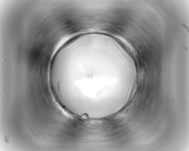 X0000093241294200710241248