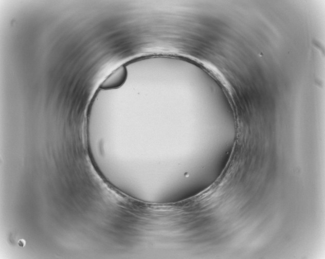 X0000093241295200710241248