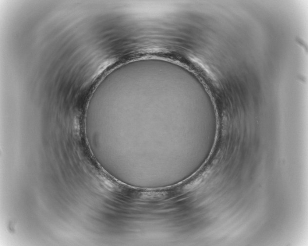 X0000093241305200710241247