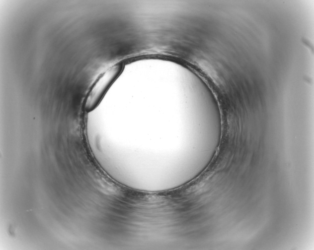 X0000093241308200710241248