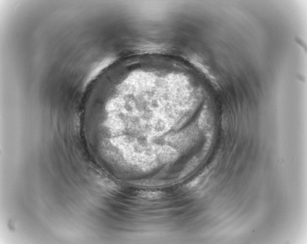 X0000093241309200710241248