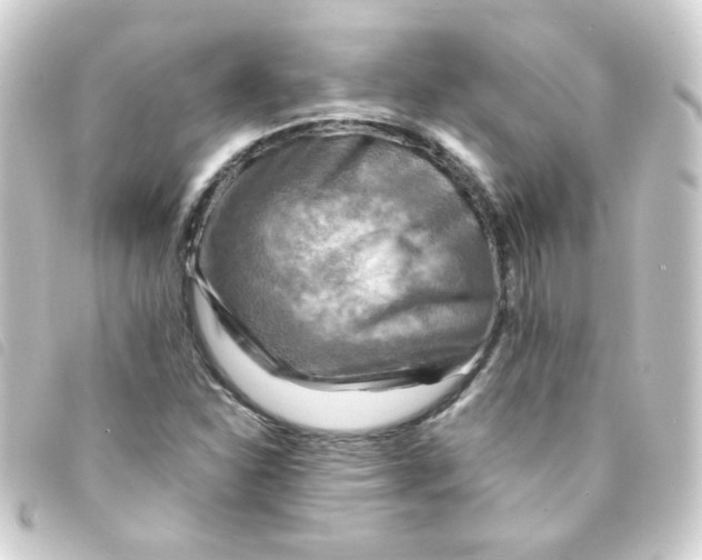 X0000093241310200710241248