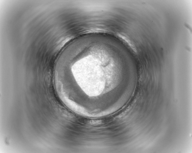 X0000093241313200710241248