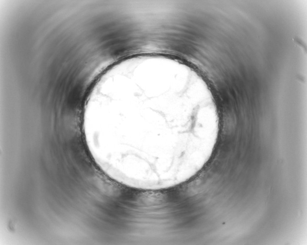 X0000093241314200710241248