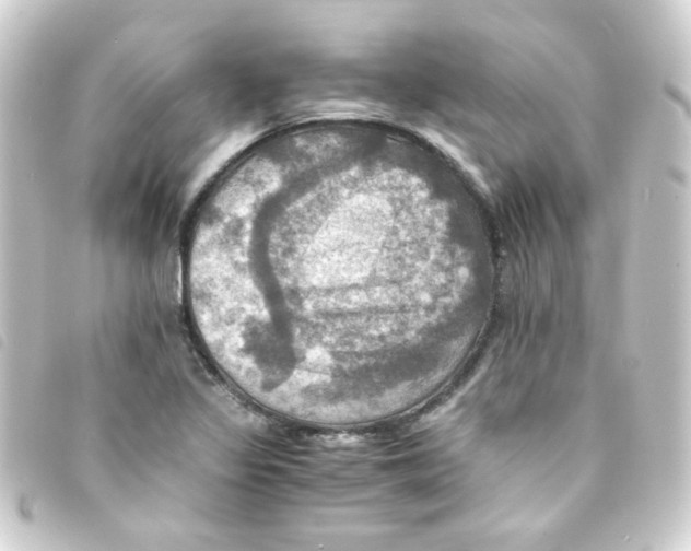 X0000093241317200710241248