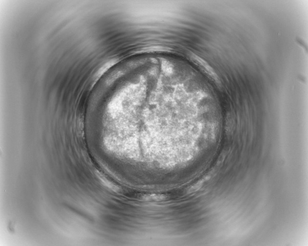 X0000093241321200710241248