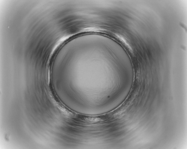 X0000093241323200710241248