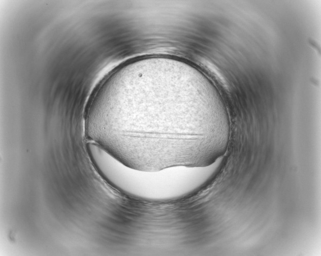 X0000093241324200710241248