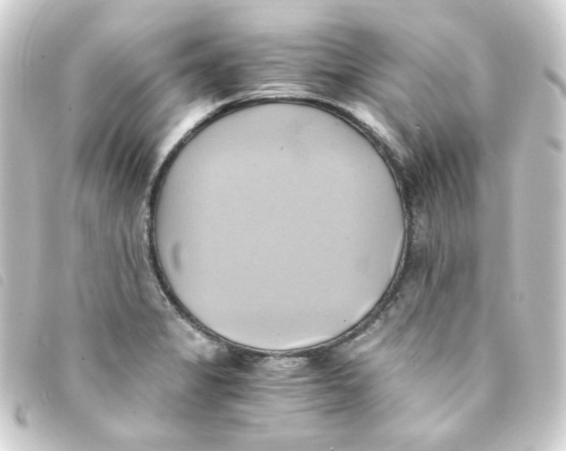 X0000093241325200710241248