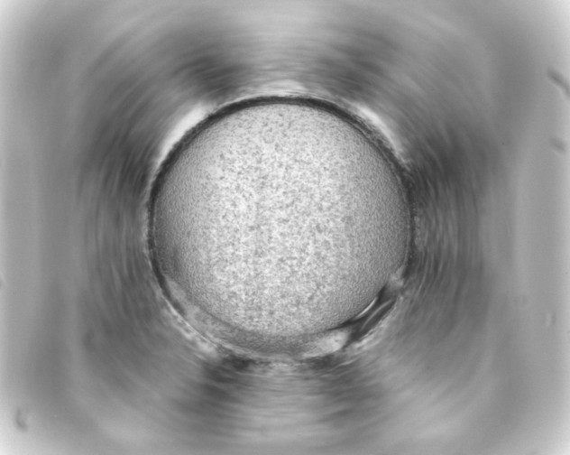 X0000093241326200710241248