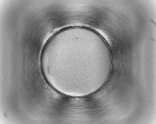 X0000093241327200710241248