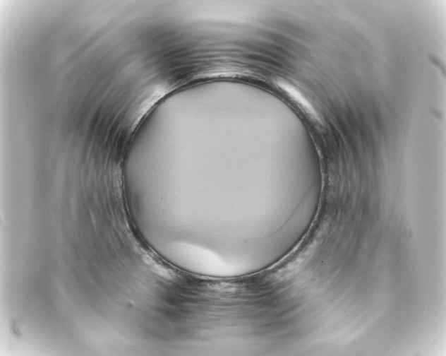 X0000093241329200710241248