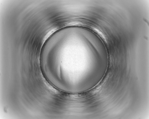 X0000093241330200710241248