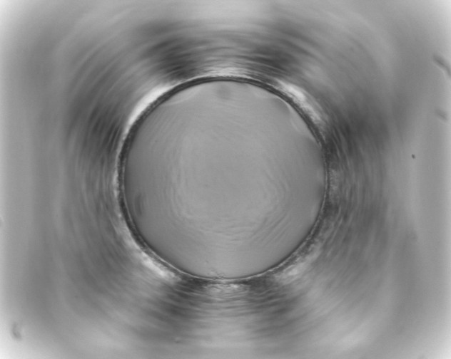 X0000093241331200710241248