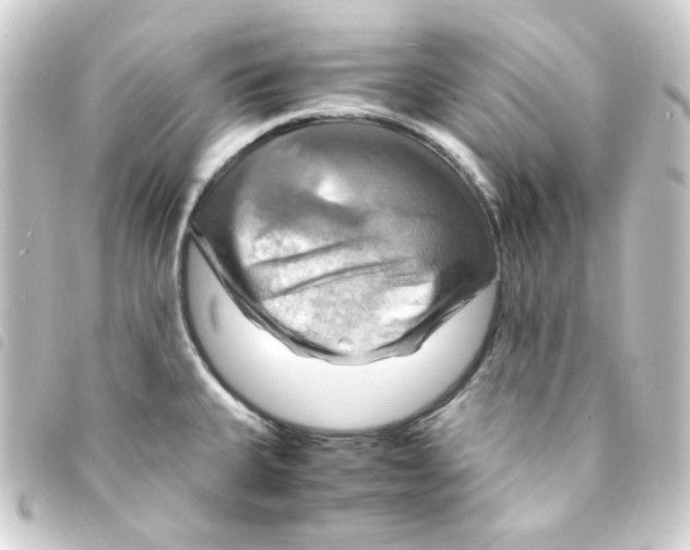 X0000093241335200710241248