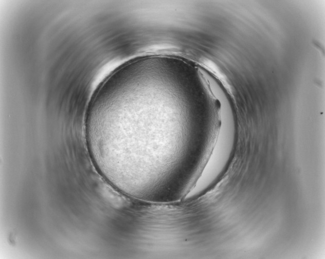 X0000093241336200710241248