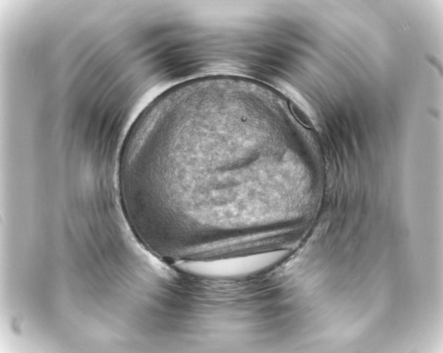 X0000093241339200710241248