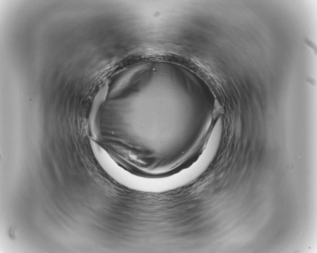 X0000093241348200710241247