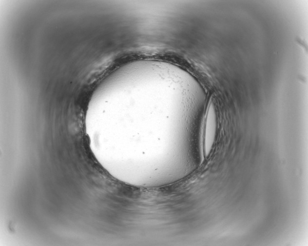 X0000093241349200710241247