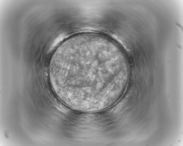 X0000093241355200710241247