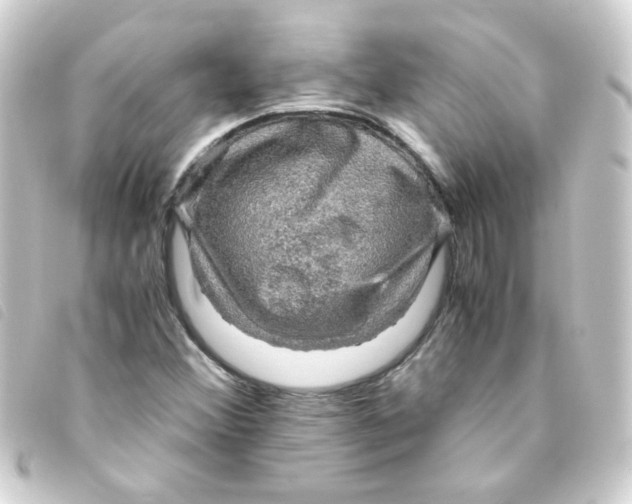 X0000093241356200710241247