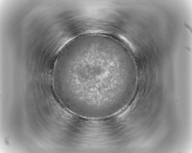 X0000093241361200710241247