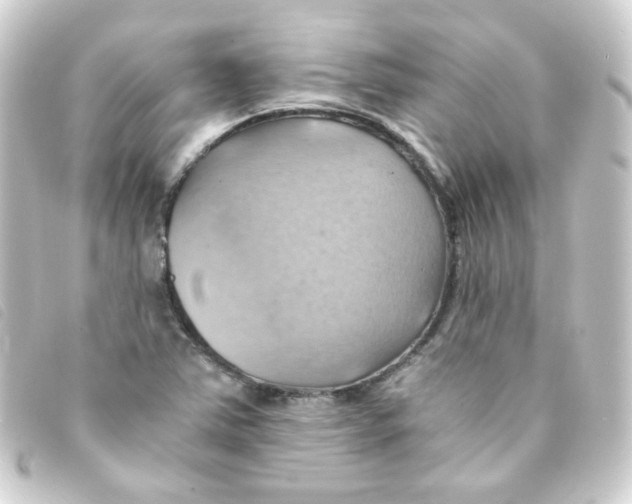 X0000093241363200710241247