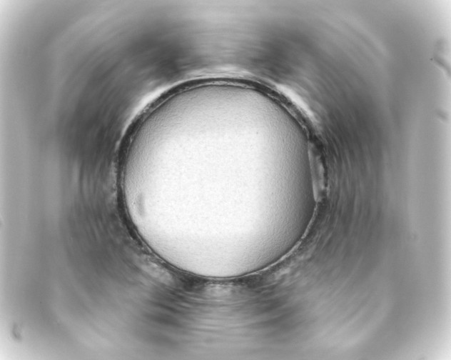 X0000093241364200710241247