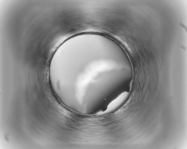 X0000093241367200710241247