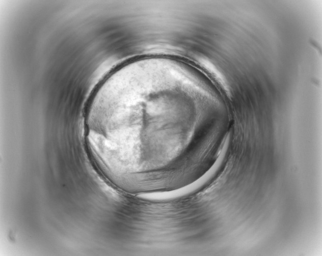 X0000093241376200710241247