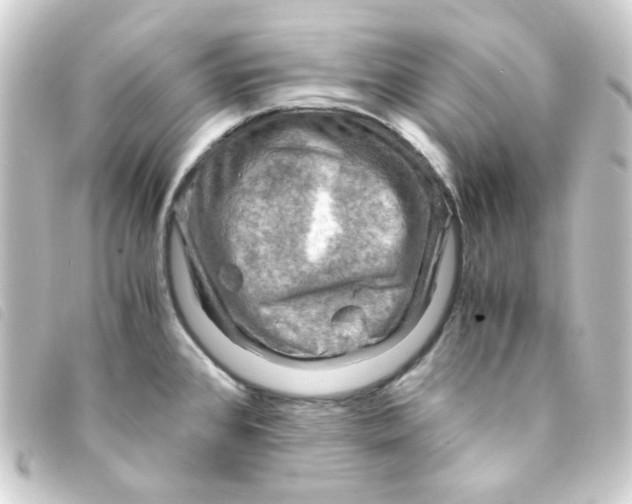 X0000093241384200710241247