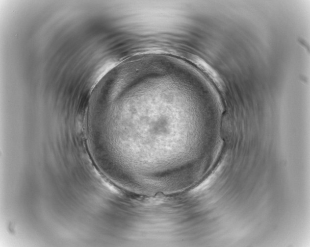 X0000093241385200710241247