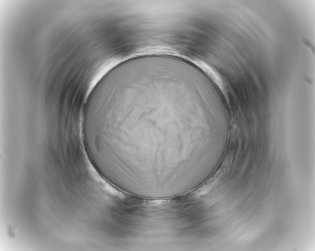 X0000093241390200710241247