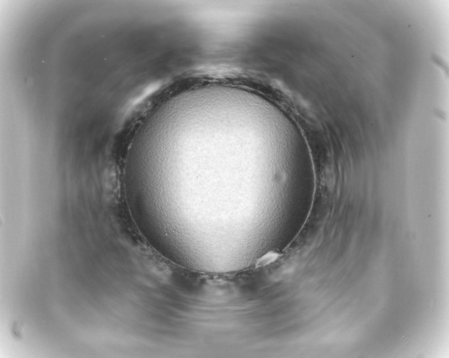 X0000093241398200710241246