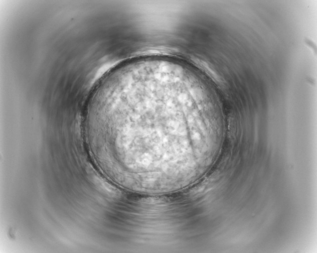 X0000093241404200710241246